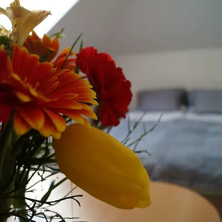 Przy Lesie ホームステイ ポッドンビエ